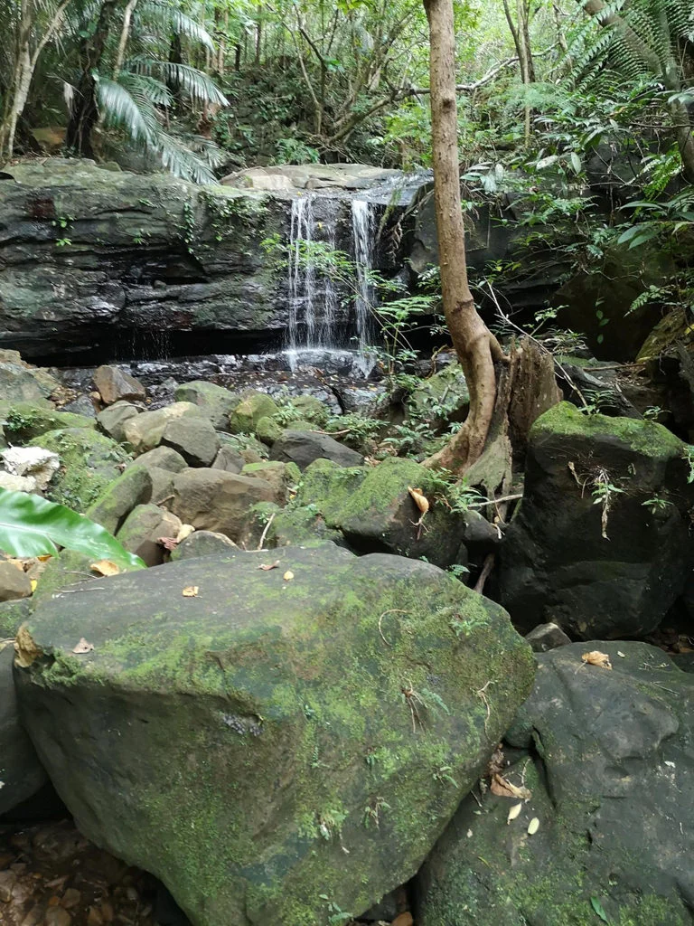 Iriomote National Park