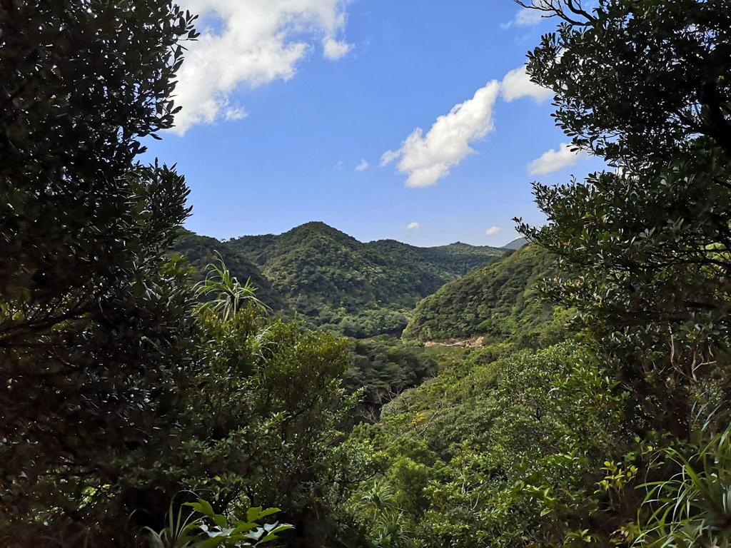 Iriomote National Park