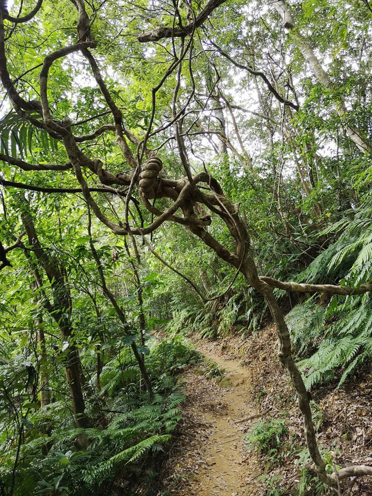 Iriomote National Park