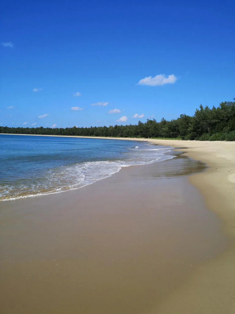 Iriomote