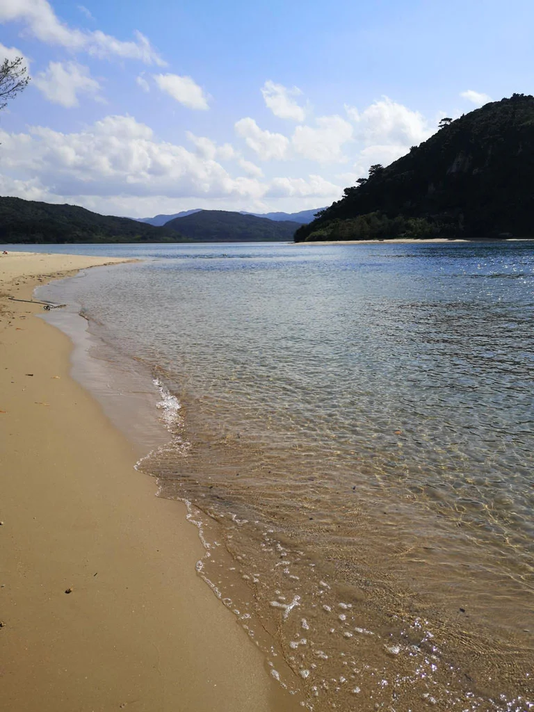 Iriomote