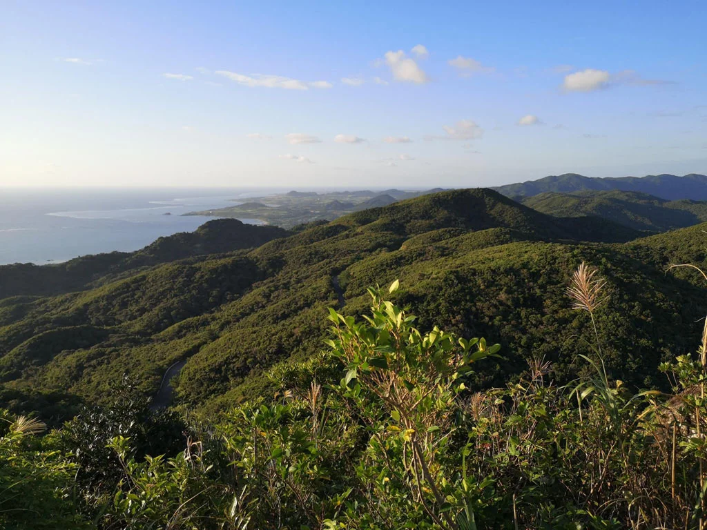 Ishigaki