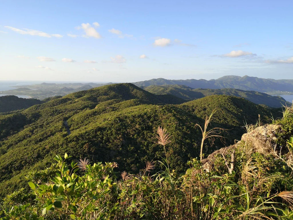 Ishigaki
