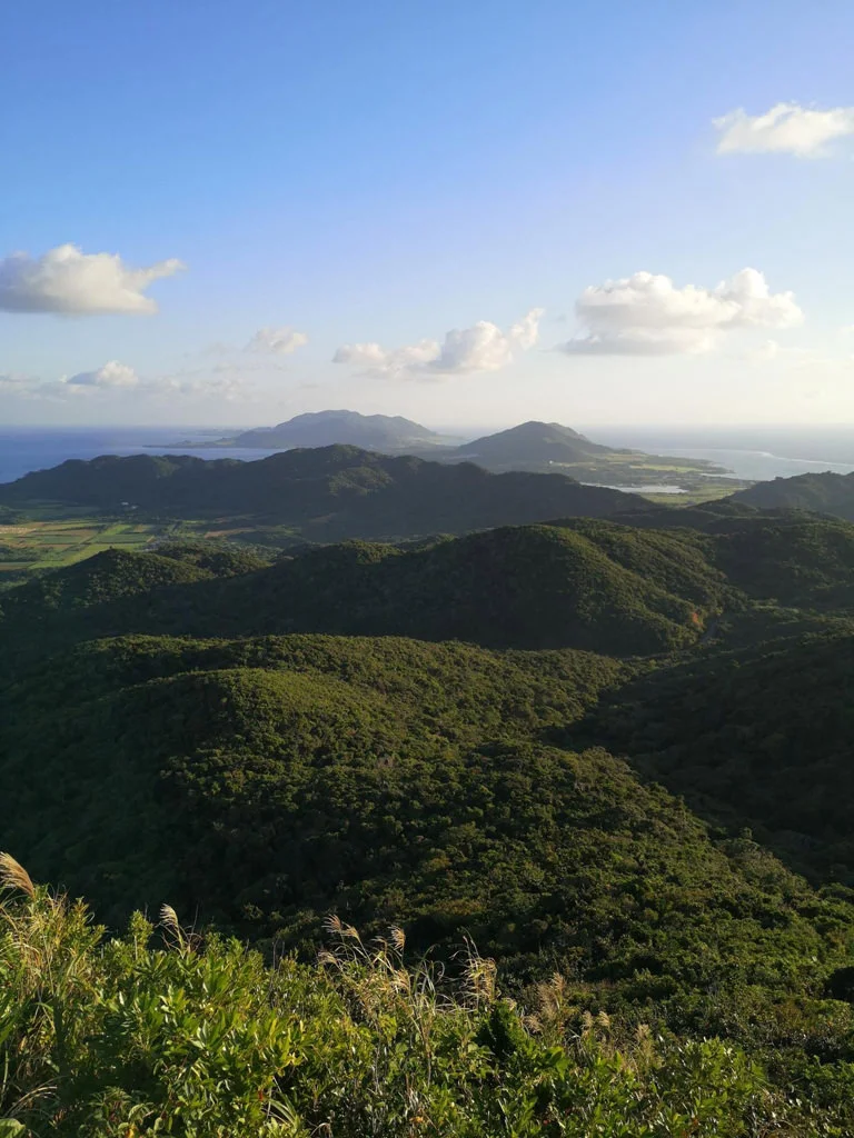 Ishigaki