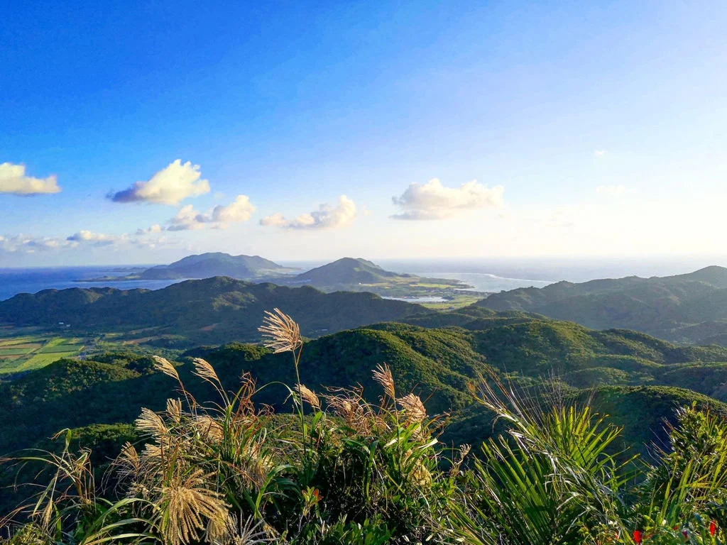 Ishigaki