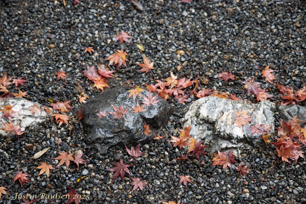 Japan_Nov_2025-0051.webp