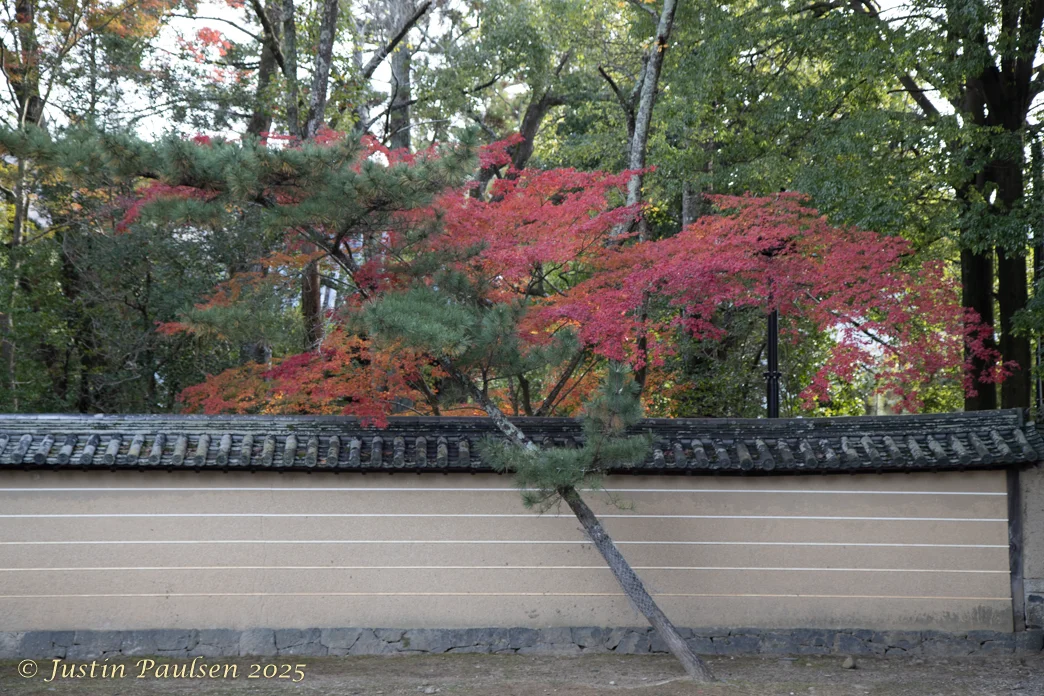 Japan_Nov_2025-9917.webp