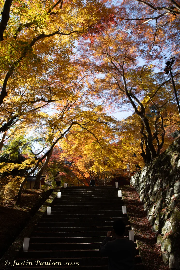 Japan_Nov_2025-9947.webp