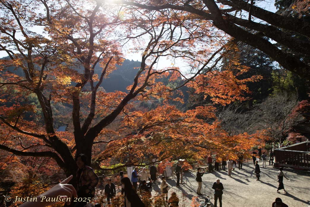 Japan_Nov_2025-9953.webp