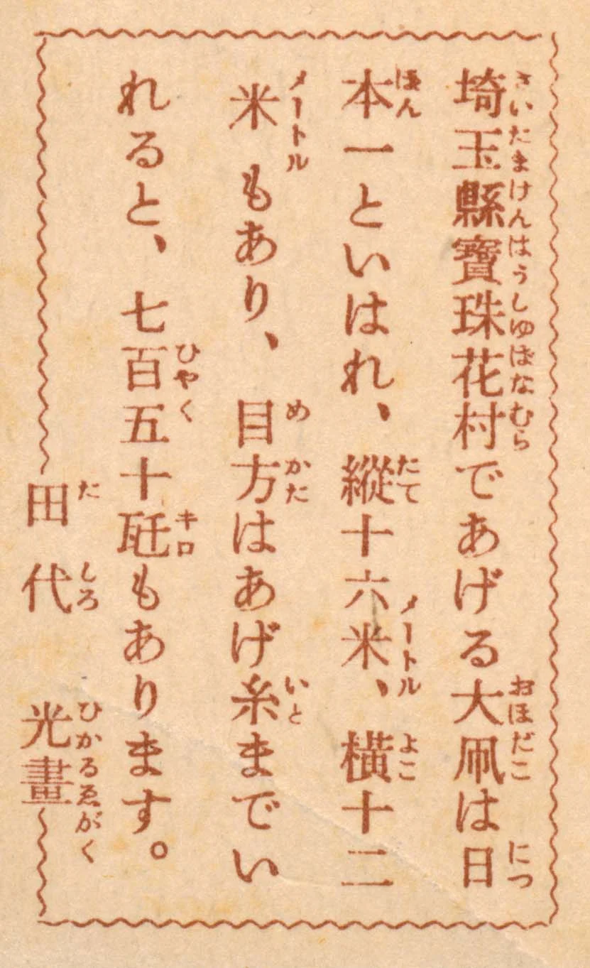 Japanese Kite RV.jpg