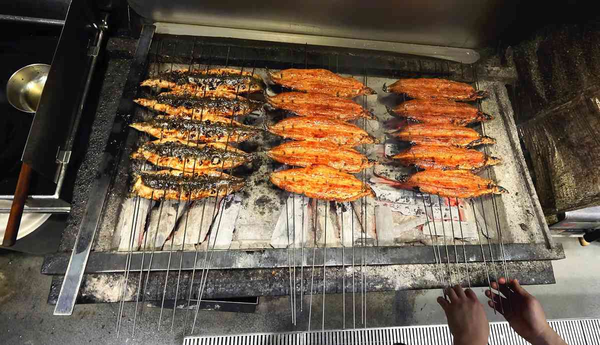 Kabayaki grilled eels