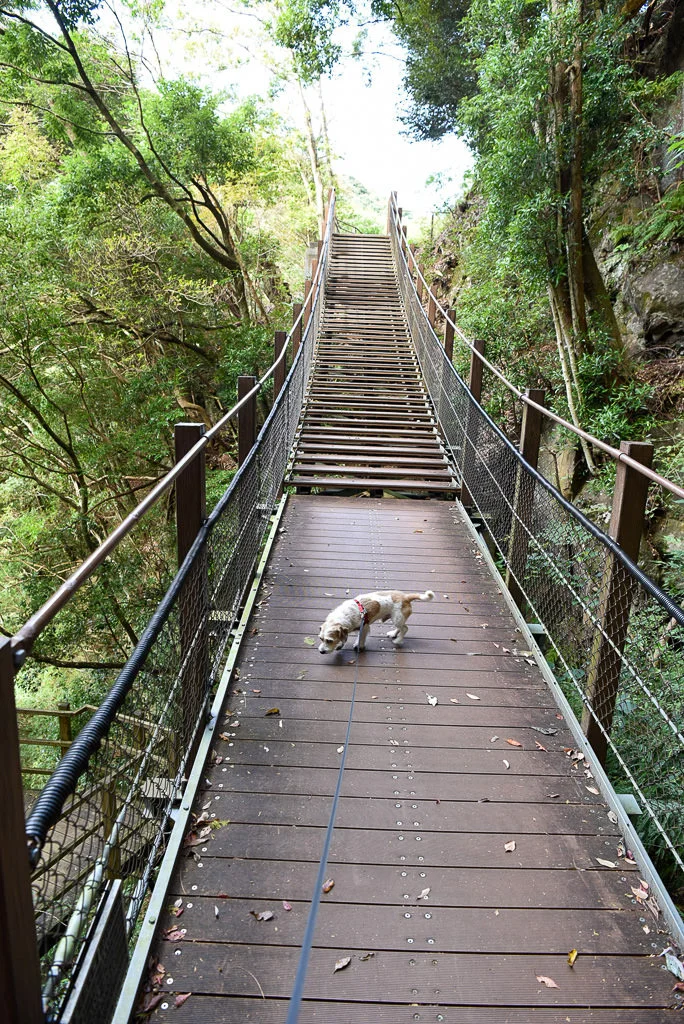 Kama-daru Dandan Bridge
