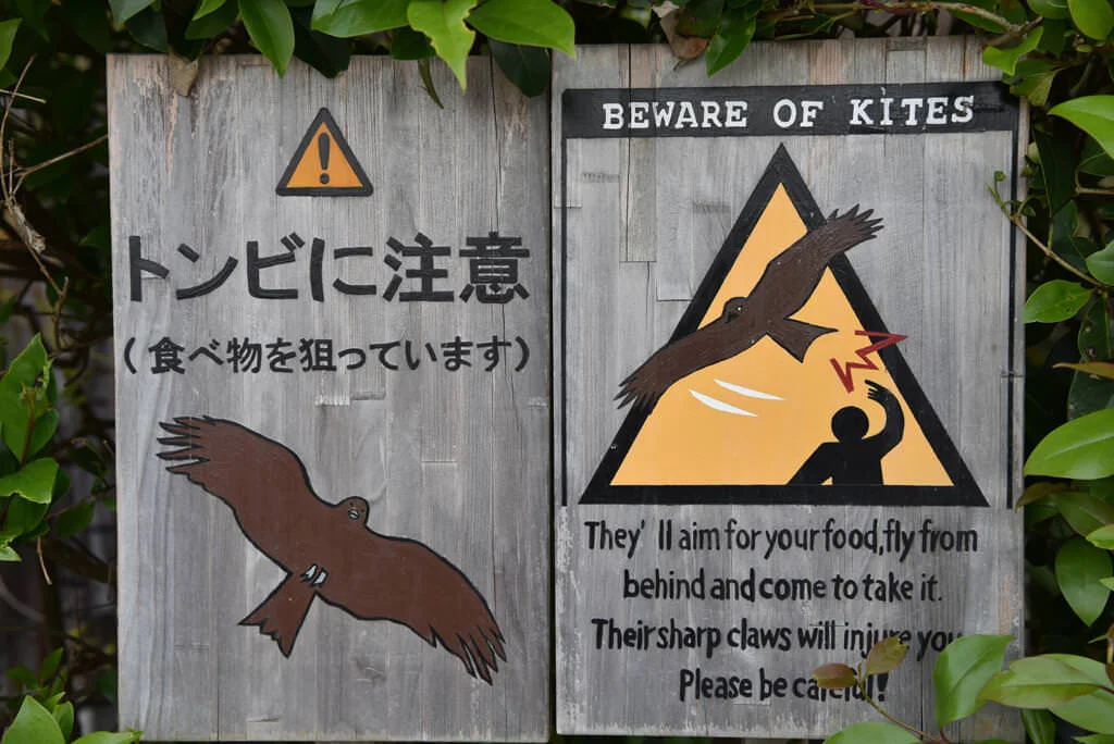 Kamakura Hasedera