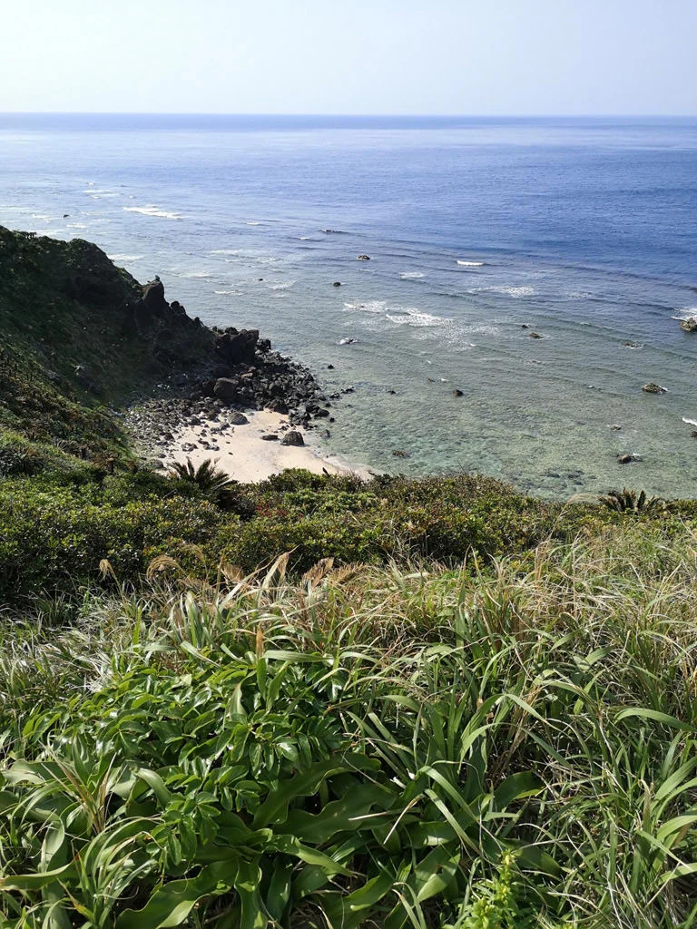 Kasarizaki