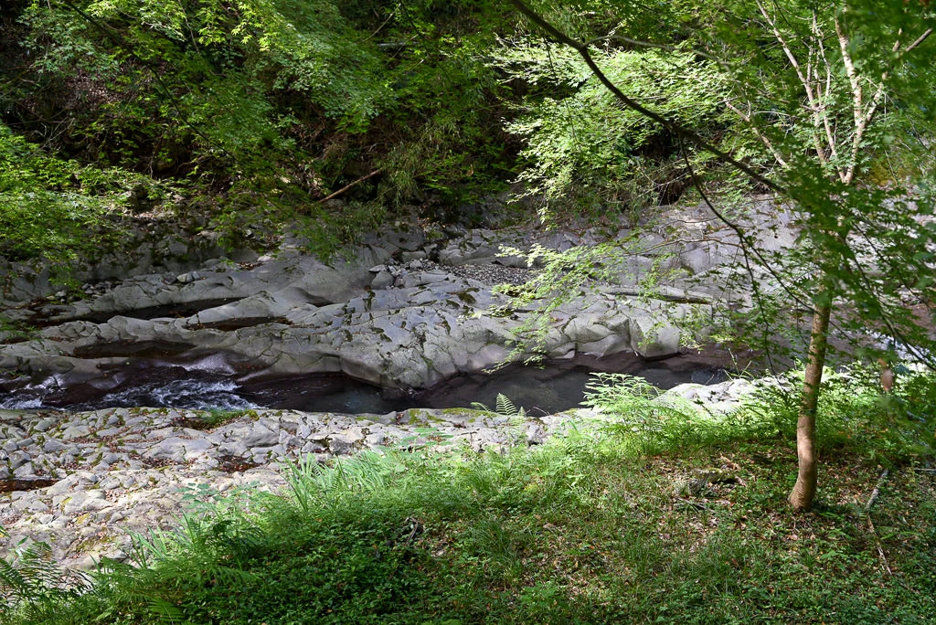 Kawazu Nana-daru