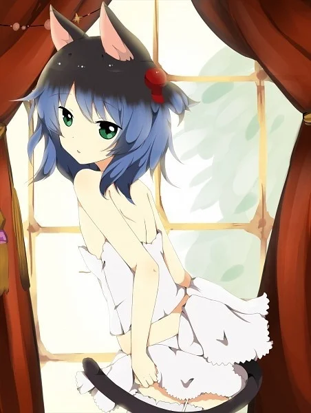 kitten
