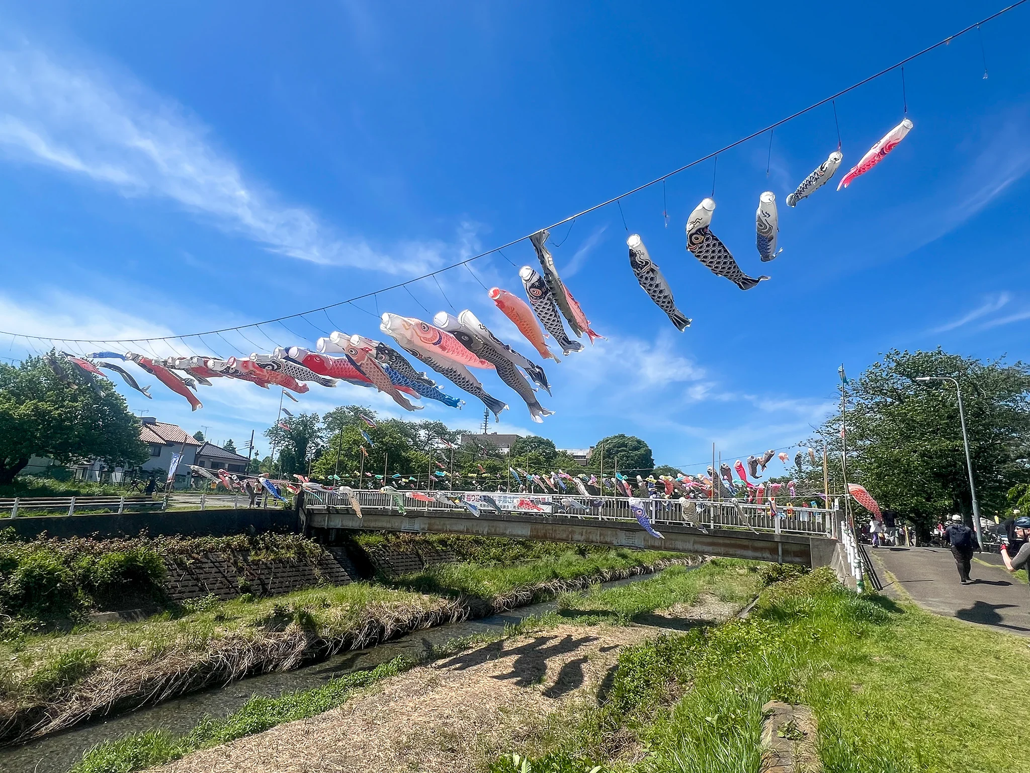 koinobori-asagawa.webp
