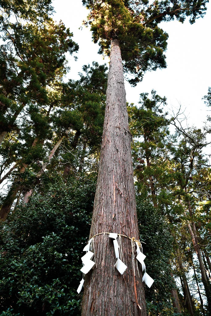 Kumano Shrine