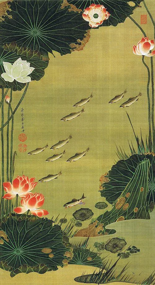 Lotus pond and fish