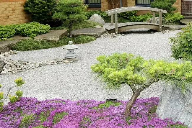 manchester-hospice-garden.jpg