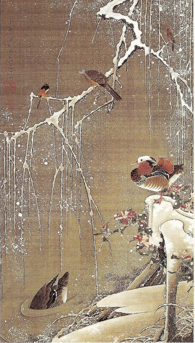 Mandarin ducks in the snow