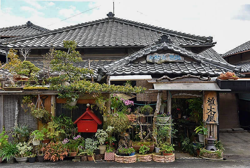 matsusaka.jpg