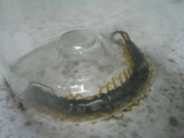 may 038.jpg