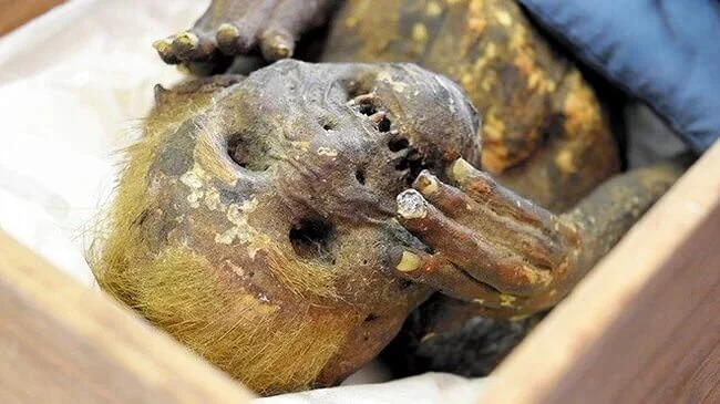 mermaid-mummy.jpg