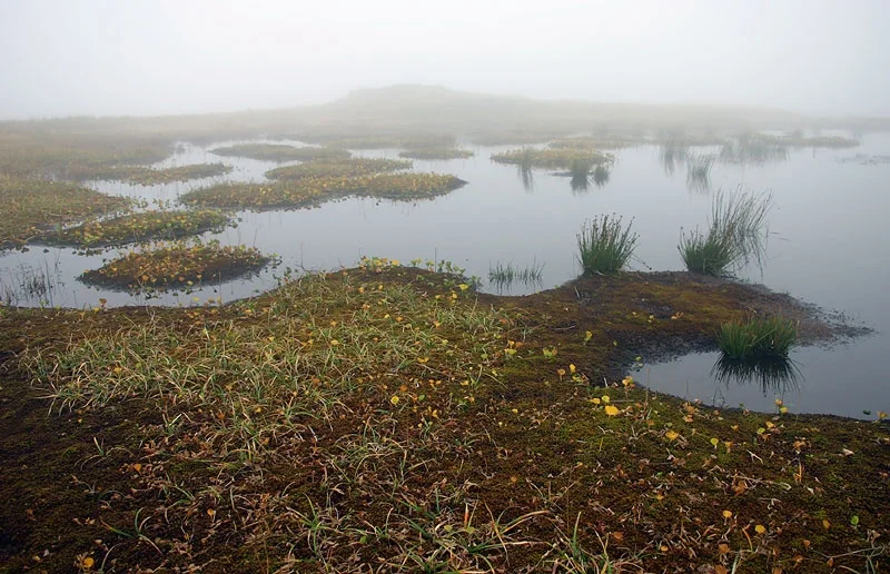 Misty Pond