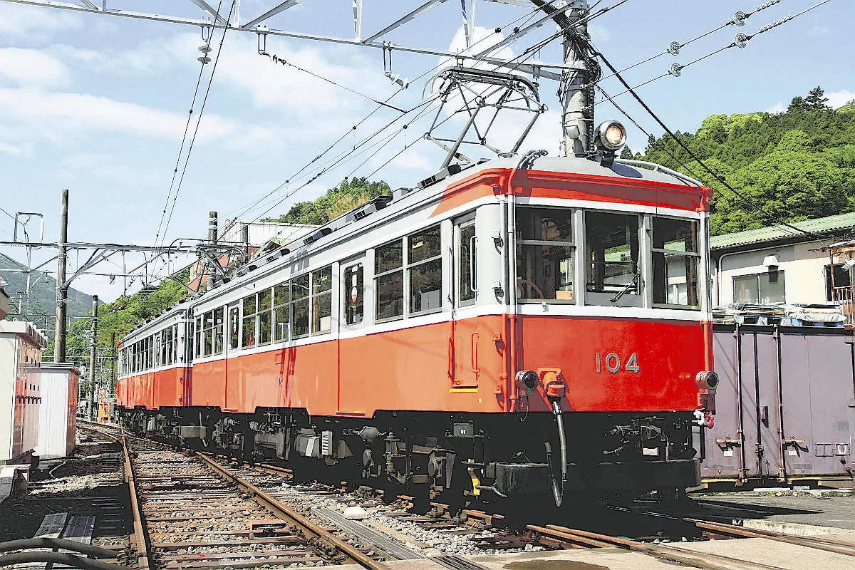 moha-1.webp