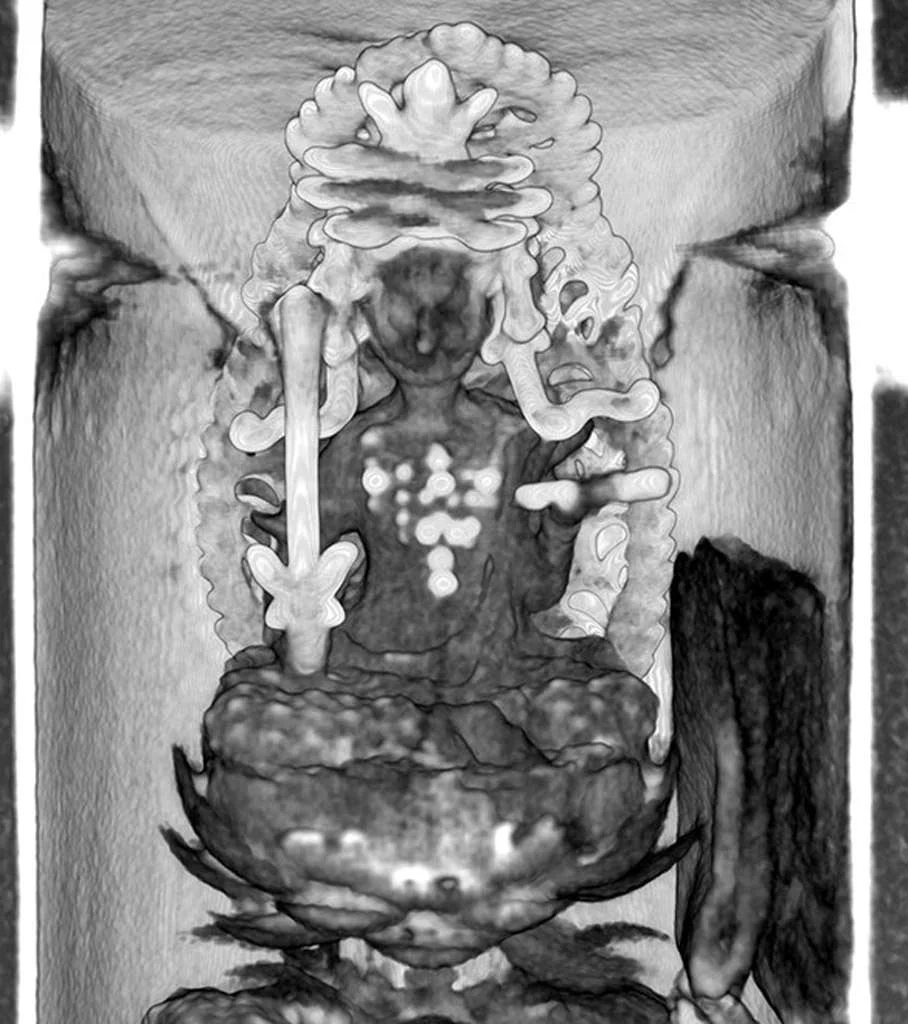 monju-bosatsu01.jpg