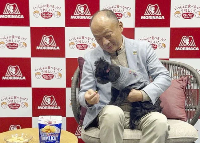 morinaga-pet-snacks.webp