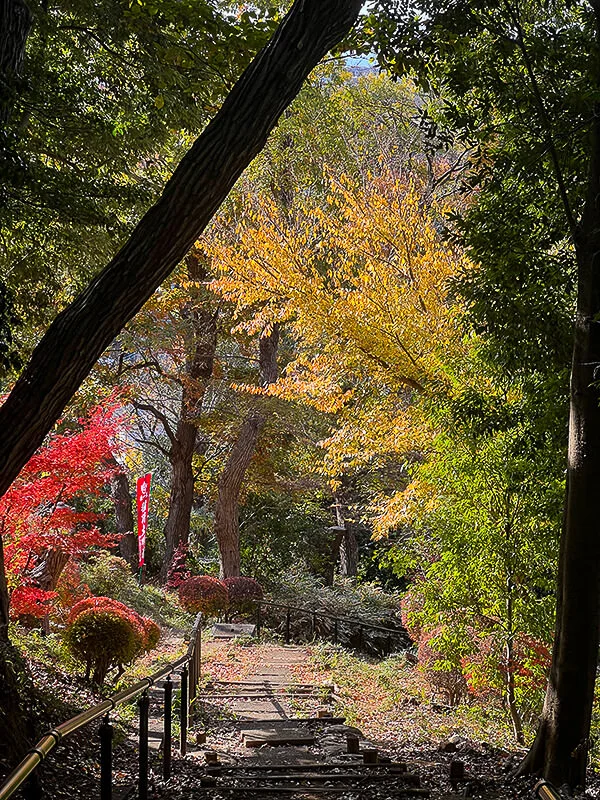 morning-temple-walk.webp
