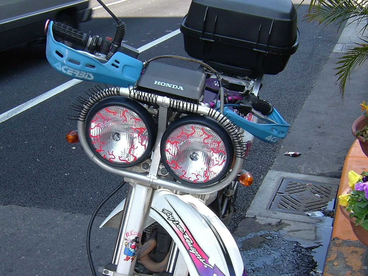 My_Nihon_366_x