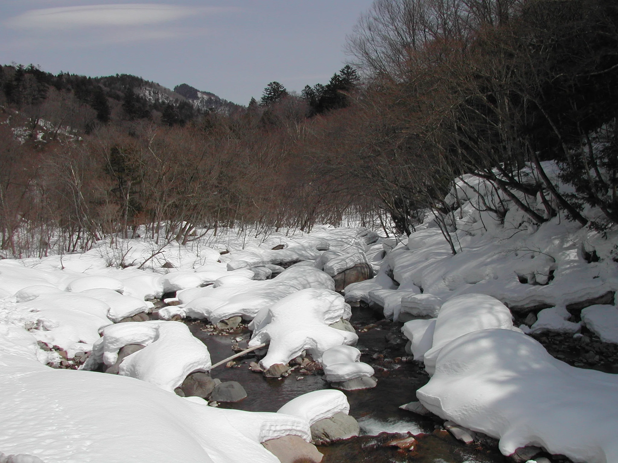 My_Nihon_530_