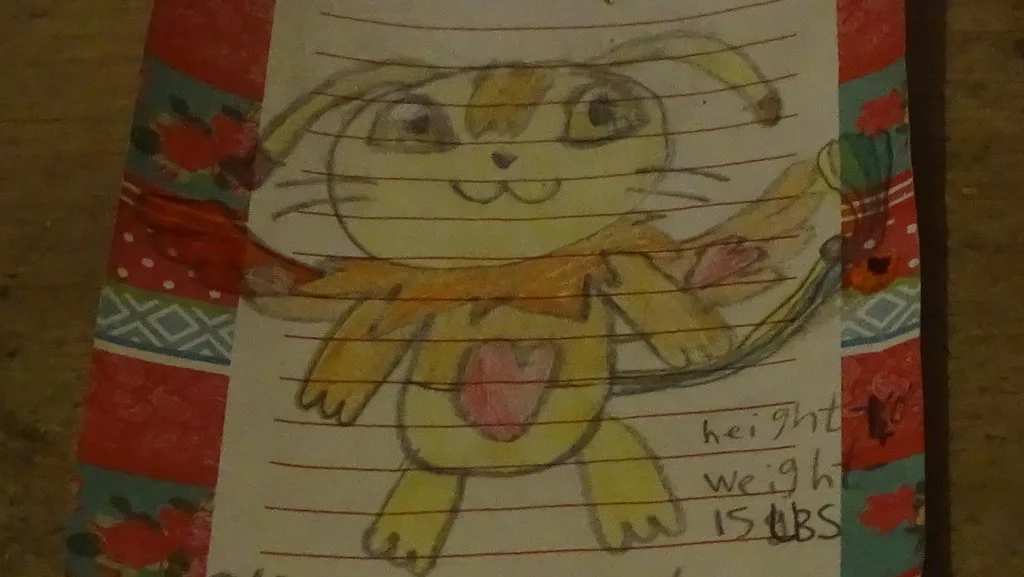 my_original_drawings_of_my_digivolution__4__edit_by_akarifan25-da8hzgf.jpg