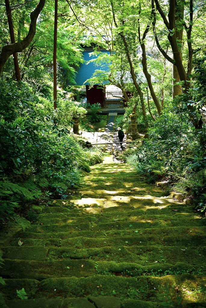 Myohoji Temple