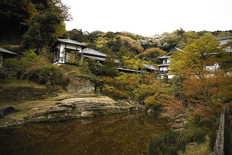 Myokochi