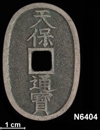 N6404_Reverse.webp