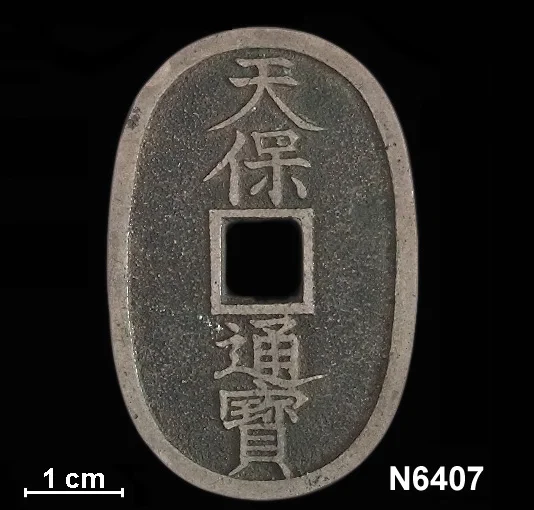 N6407_Reverse.webp