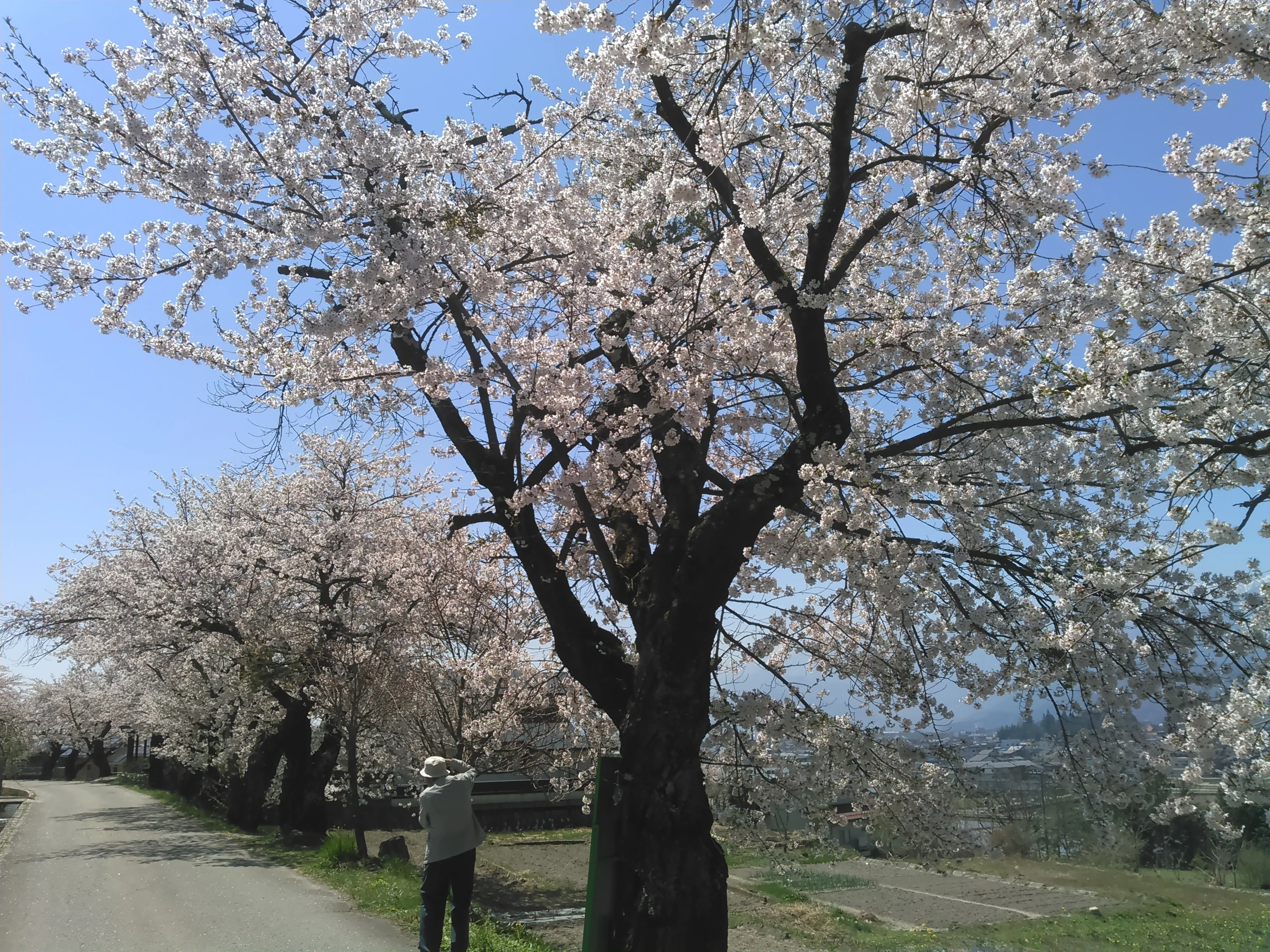 Nagano Omachi-shi