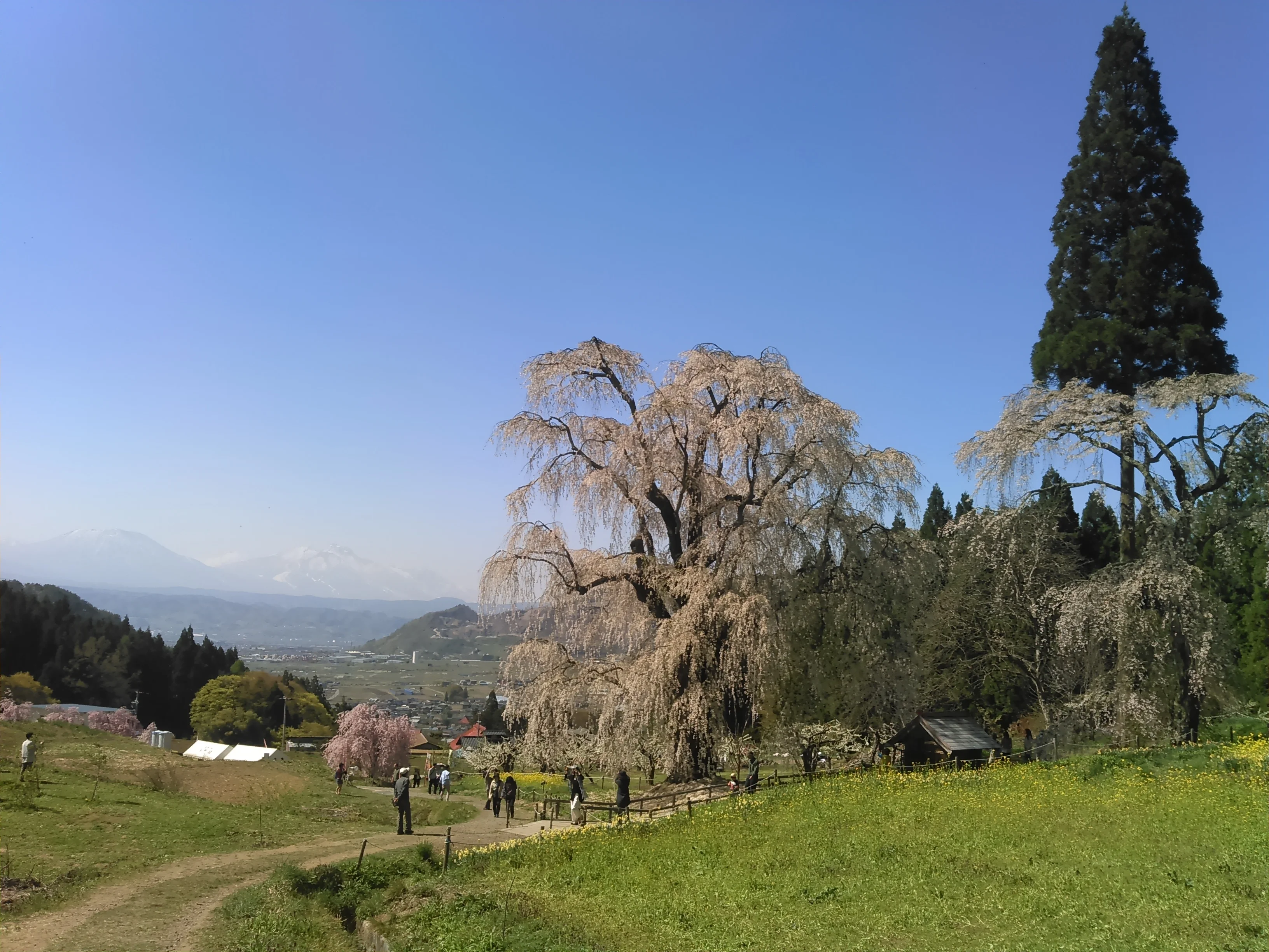 Nagano Takayama mura