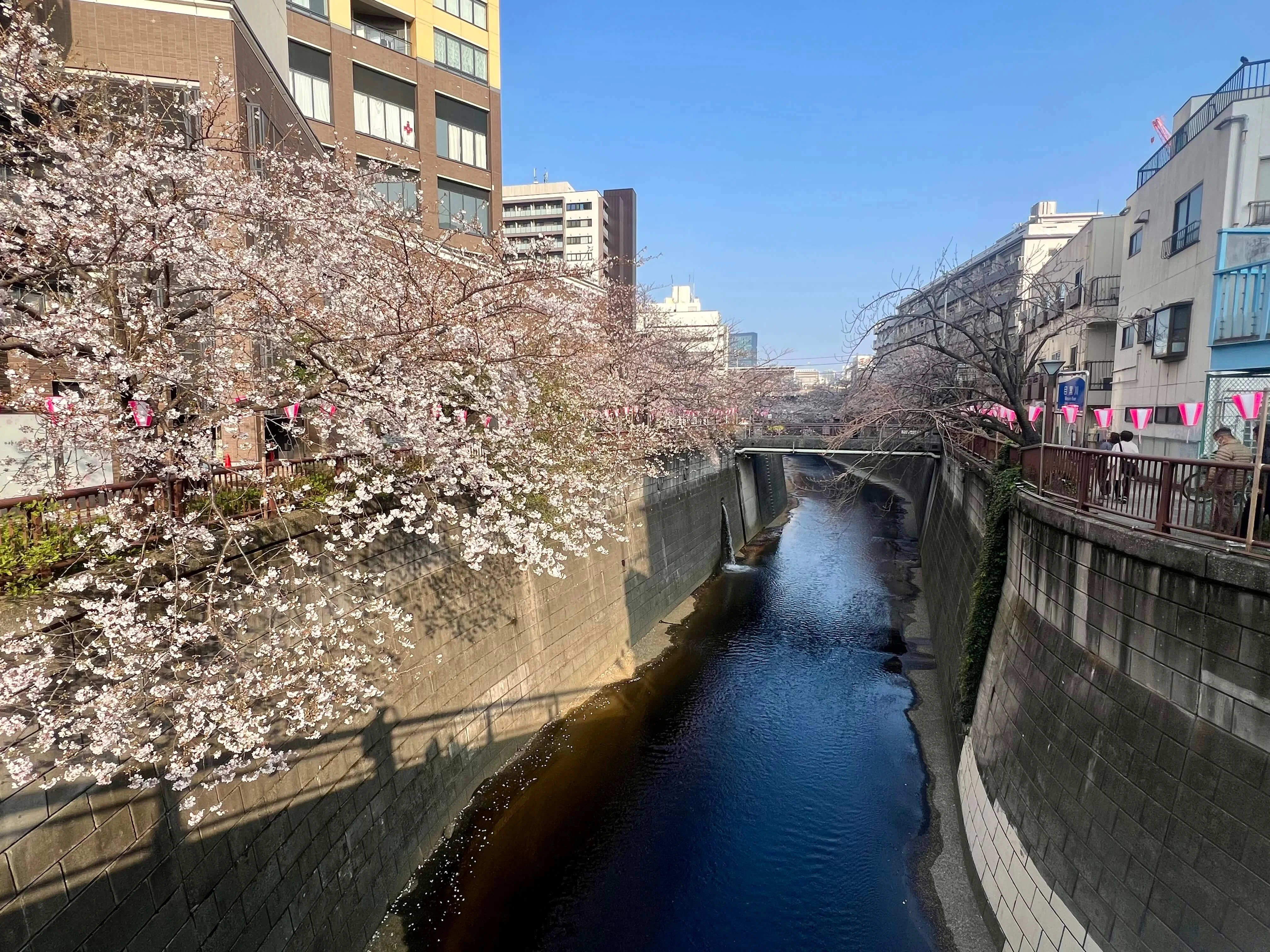 nakameguro.webp