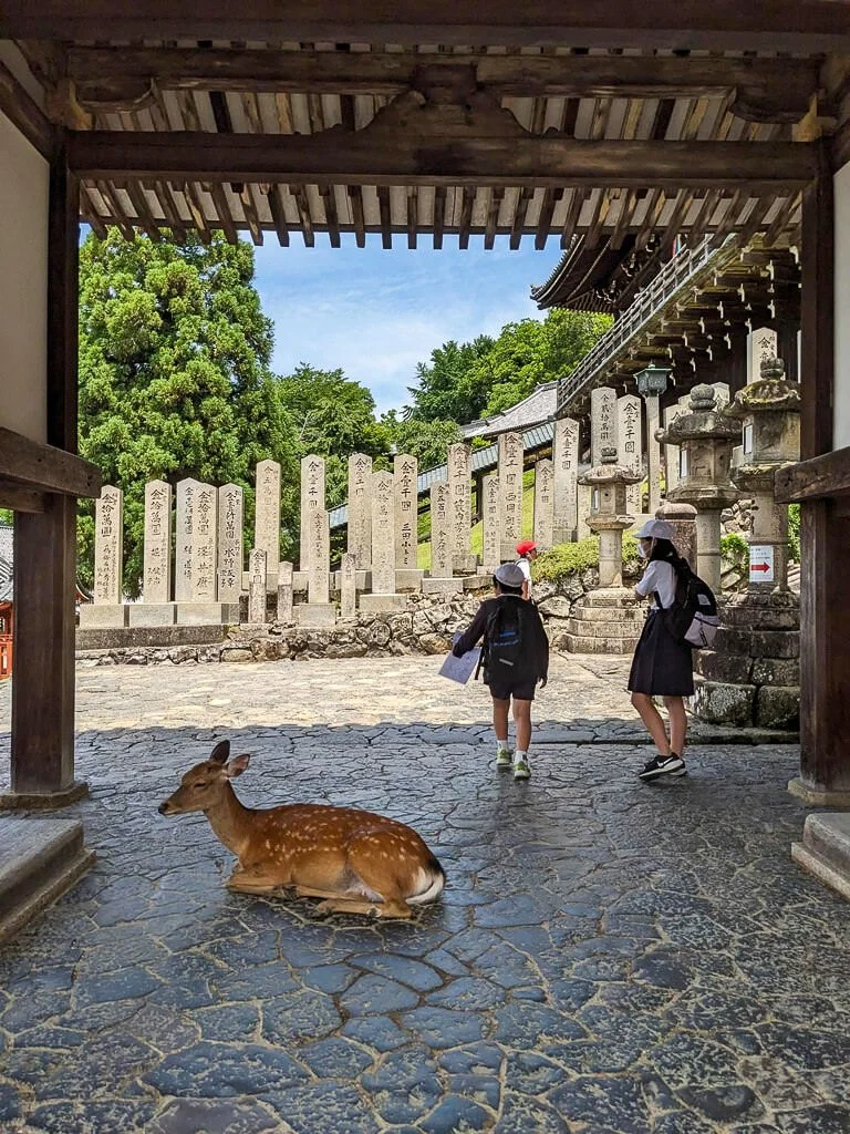 Nara June 2025