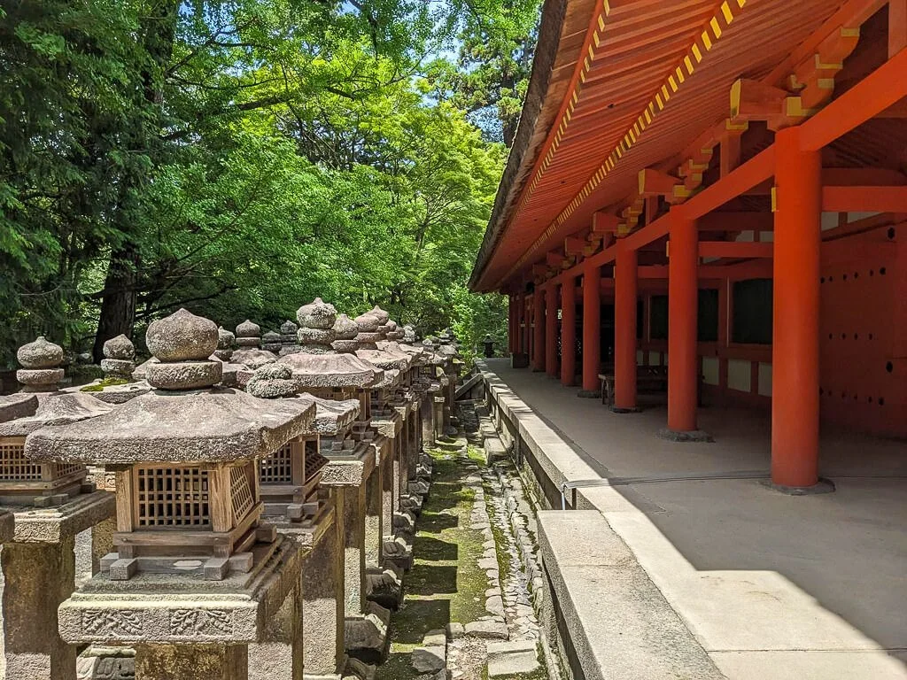 Nara June 2025