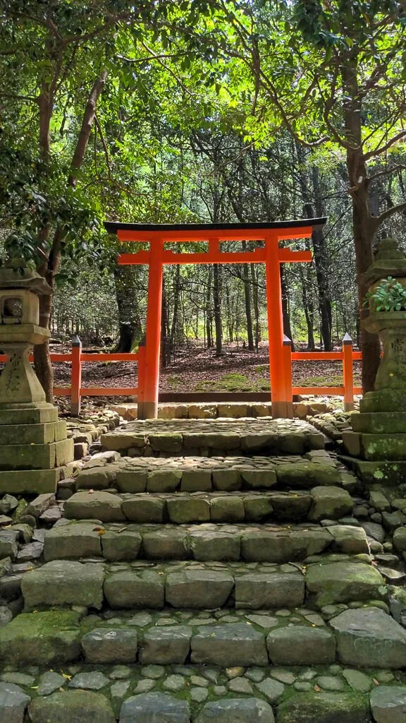 Nara June 2025