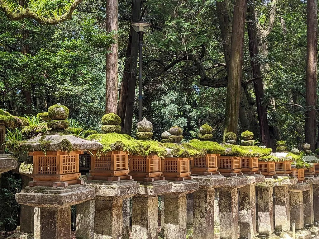 Nara June 2025