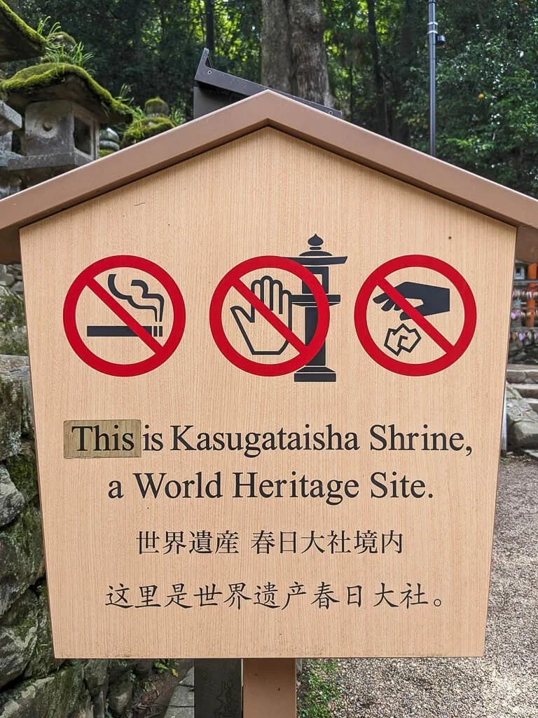 Nara June 2025
