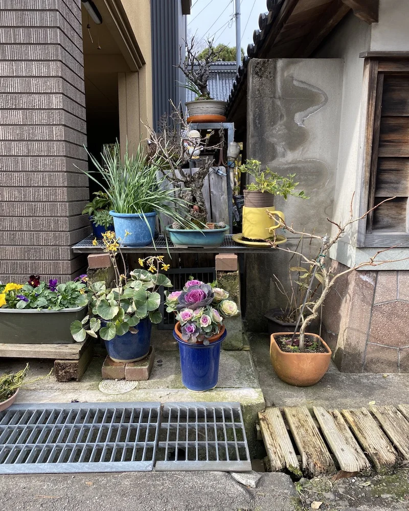 niche still life.jpeg