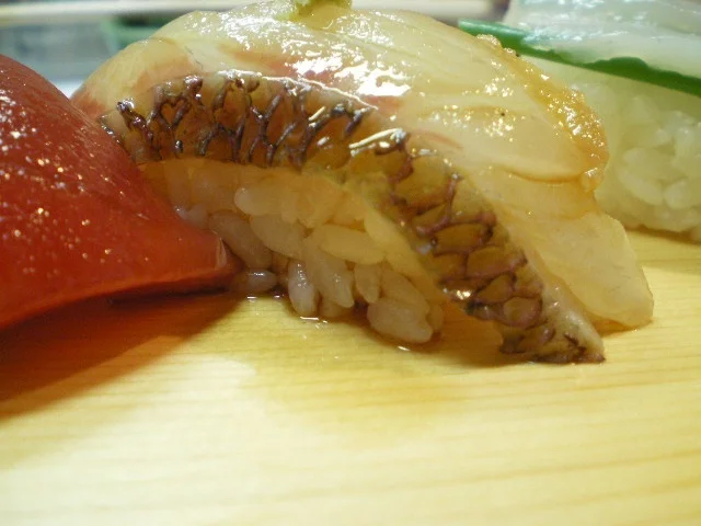 Nigiri wait for you